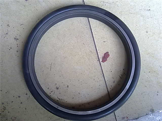 軸端(duan)密封件