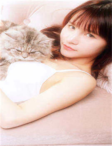 张津瑜 吕知樾 视频百度网盘-肉身避风港1975年版