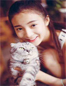 锦衣卫 2010